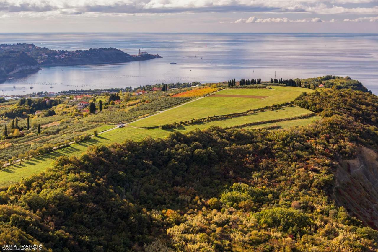Istrian Lux Residence Koper Dış mekan fotoğraf