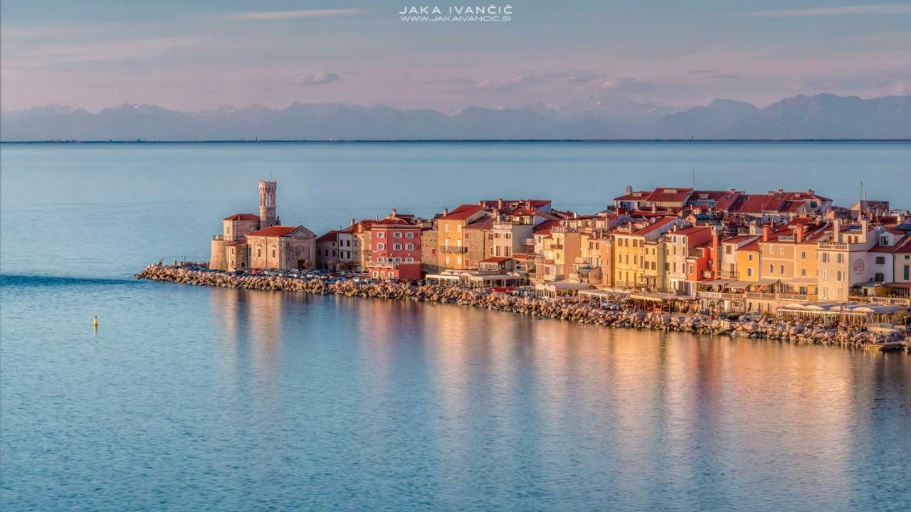 Istrian Lux Residence Koper Dış mekan fotoğraf