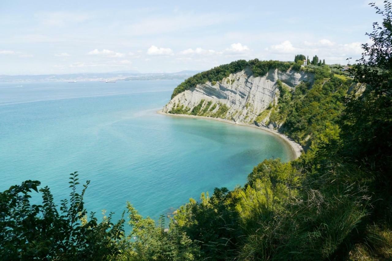 Istrian Lux Residence Koper Dış mekan fotoğraf